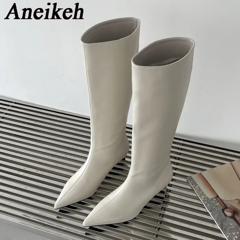 Aneikeh 2027 Mode Sexy Spitse  - Women'S Fashion Knee High Boots recensie en prijs