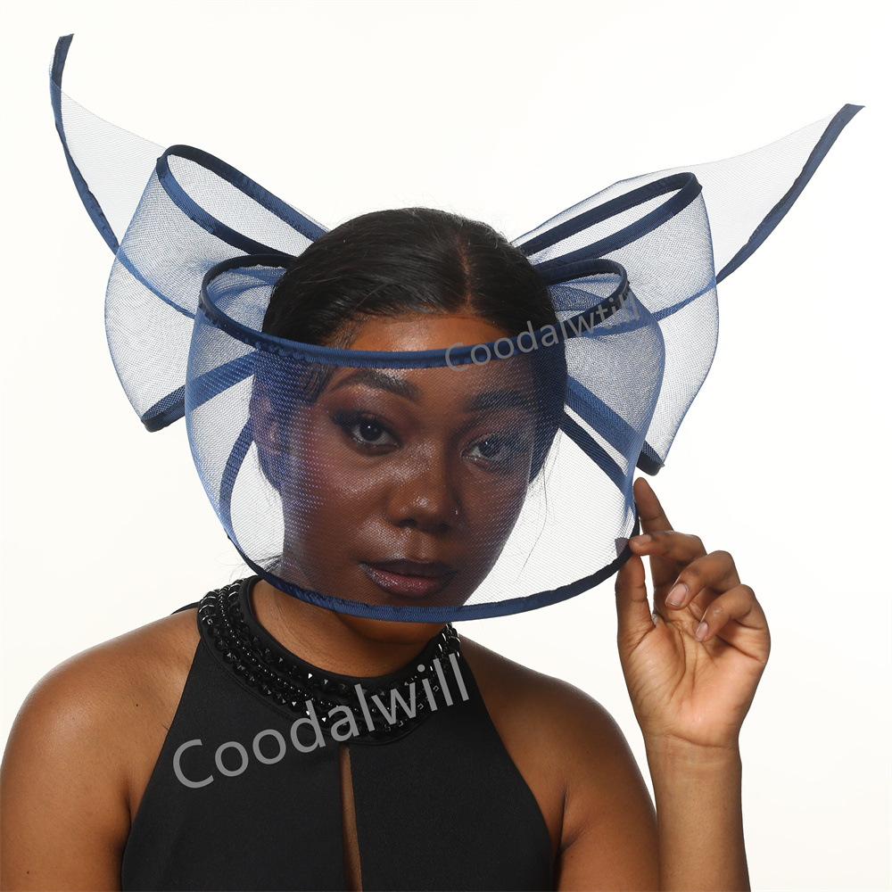 Zwart Wit Verbaasd Fascinator  - Women'S Fashion Kentucky Derby recensie en prijs
